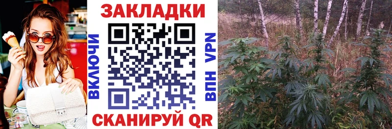 Метамфетамин Дорогобуж