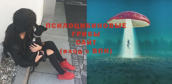COCAINE Богданович