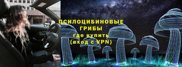 прущие крисы Богородск