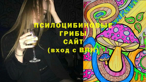 PSILOCYBIN Наволоки
